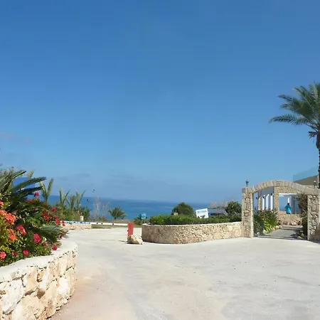 Aphrodite Beach Hotel Polis