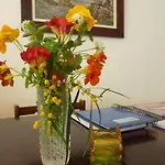 Hotel Aphrodite Beach Polis