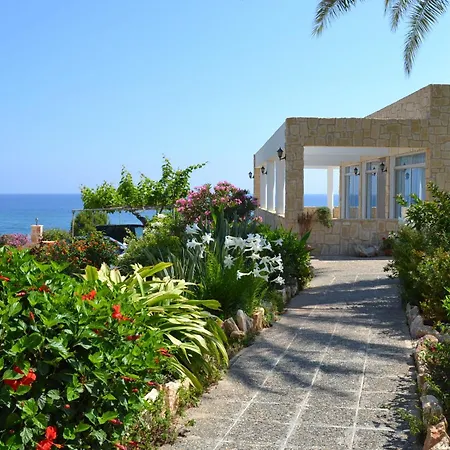 Aphrodite Polis