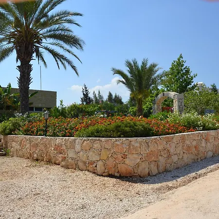 Aphrodite Beach