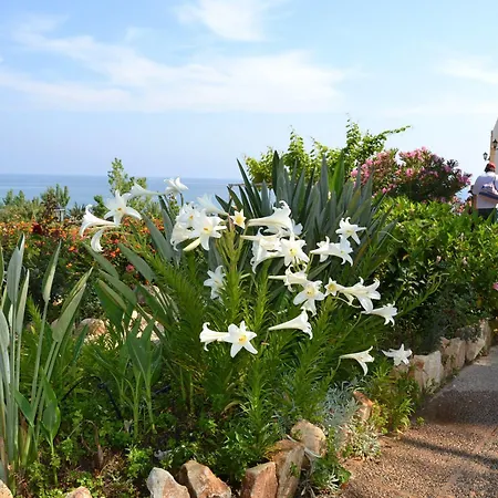 Aphrodite Beach 2* Polis