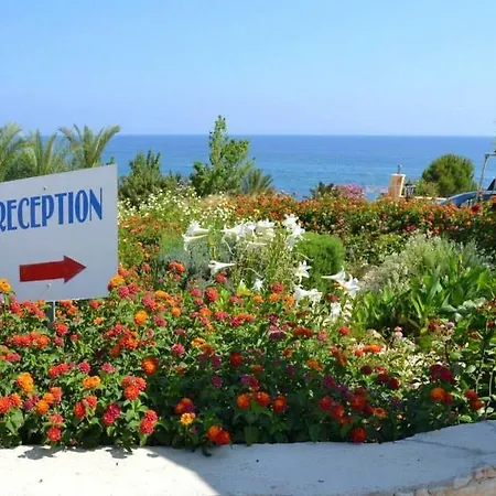 Aphrodite Polis