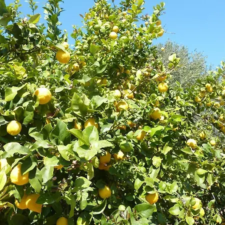 Aphrodite Beach Hotel