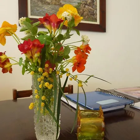 Hotel Aphrodite Beach Polis