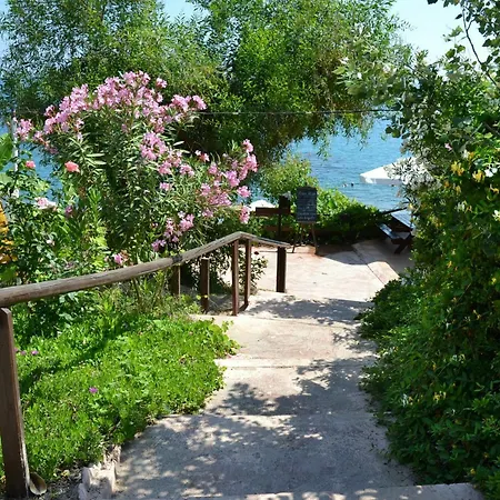 Hotel Aphrodite 2*